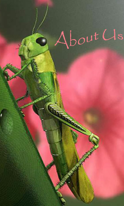locust on side